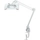 8 Diopter Magnifying Lamp 8069W (220V) Preview 1